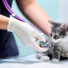 Her Zaman Güvenebileceğiniz Bir Klinik